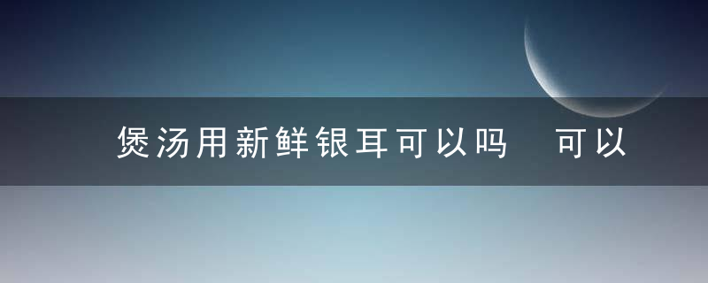 煲汤用新鲜银耳可以吗 可以用银耳煲汤吗